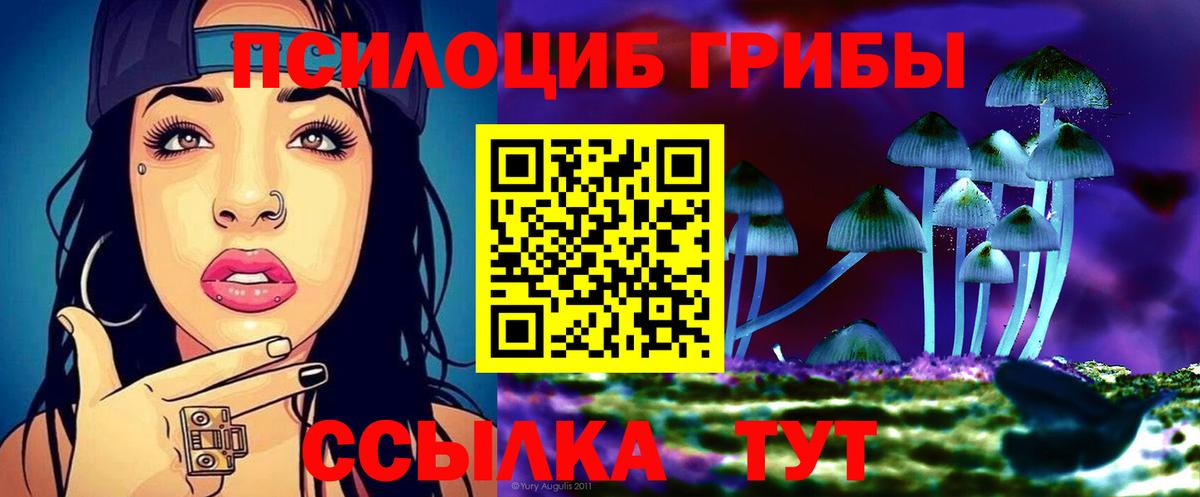 Псилоцибиновые грибы мухоморы  Вход с VPN  Псилоцибиновые грибы мицелий  Россия 